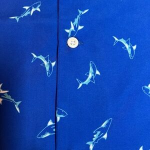 Boys size xl crown and ivy button up